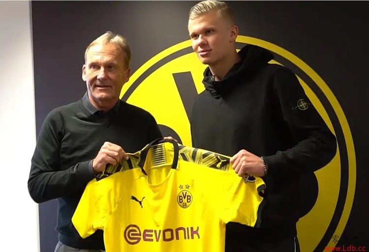 加拿大男篮实力大增（加拿大男篮战力飙升）