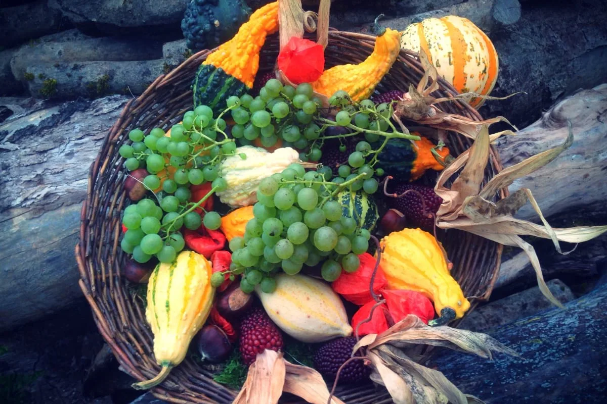 Organic Food - Farm Fresh Produce Right To Your Door - PG